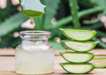 aloe vera gel forever per reflusso